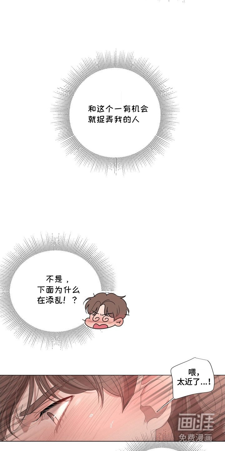 第3章：过度反应