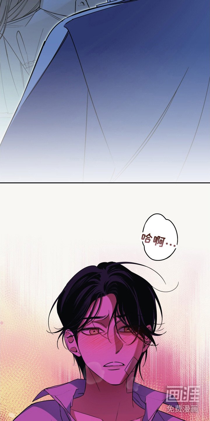第11章：做梦