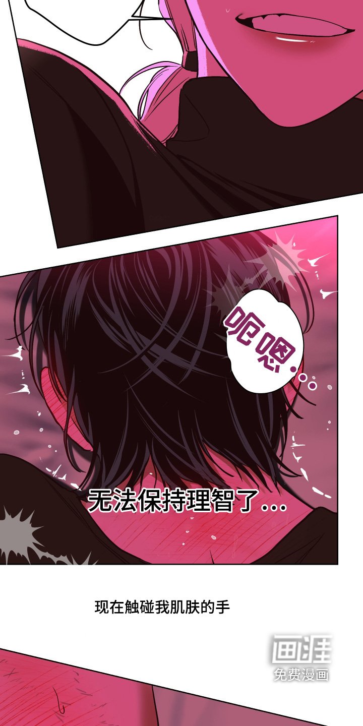 第21章：对我的感情