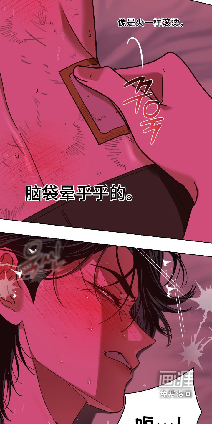第21章：对我的感情