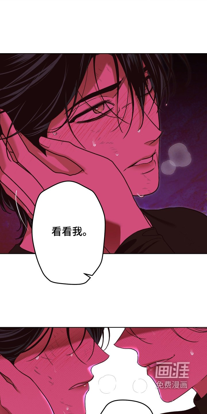 第21章：对我的感情
