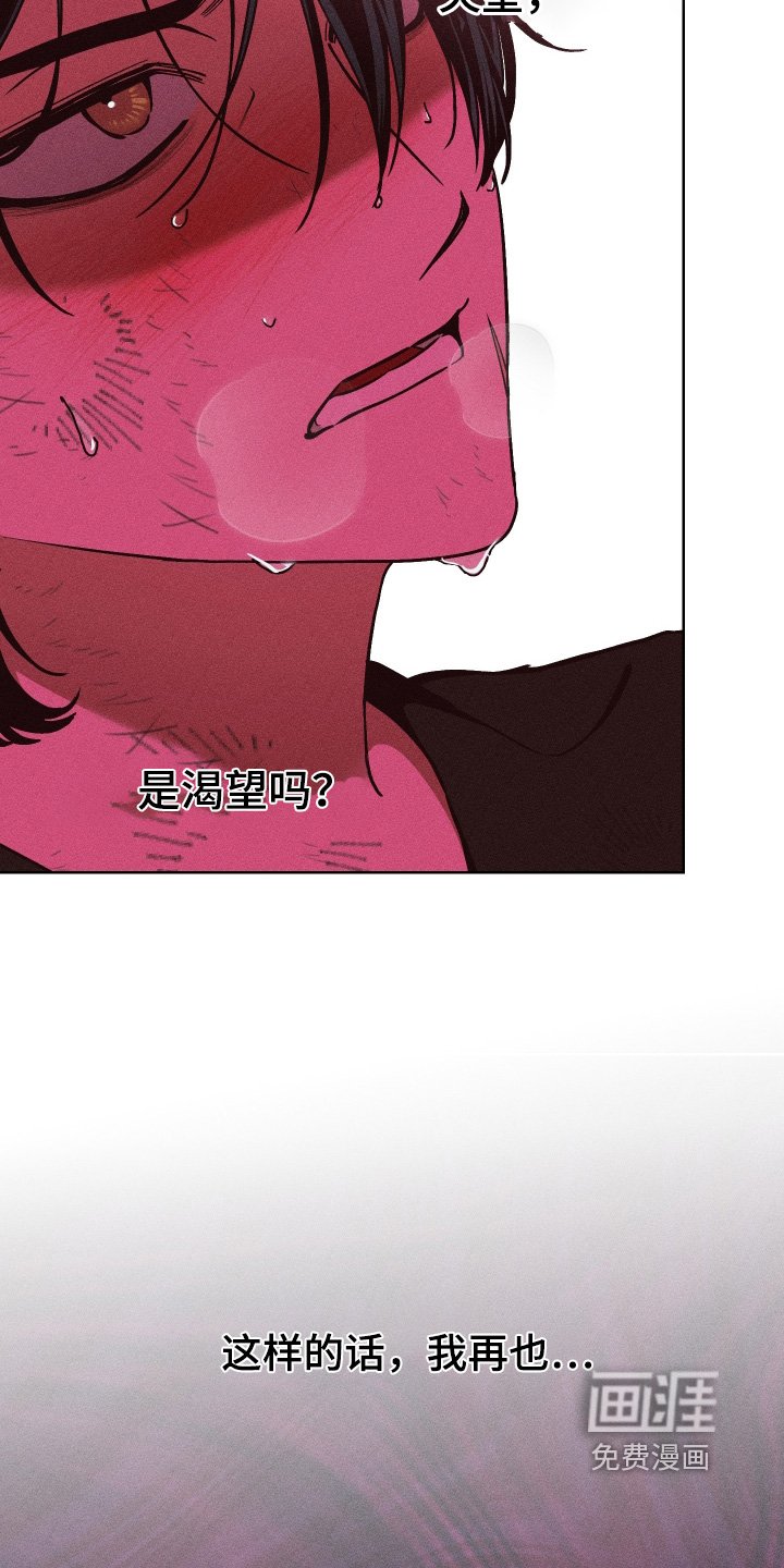 第21章：对我的感情