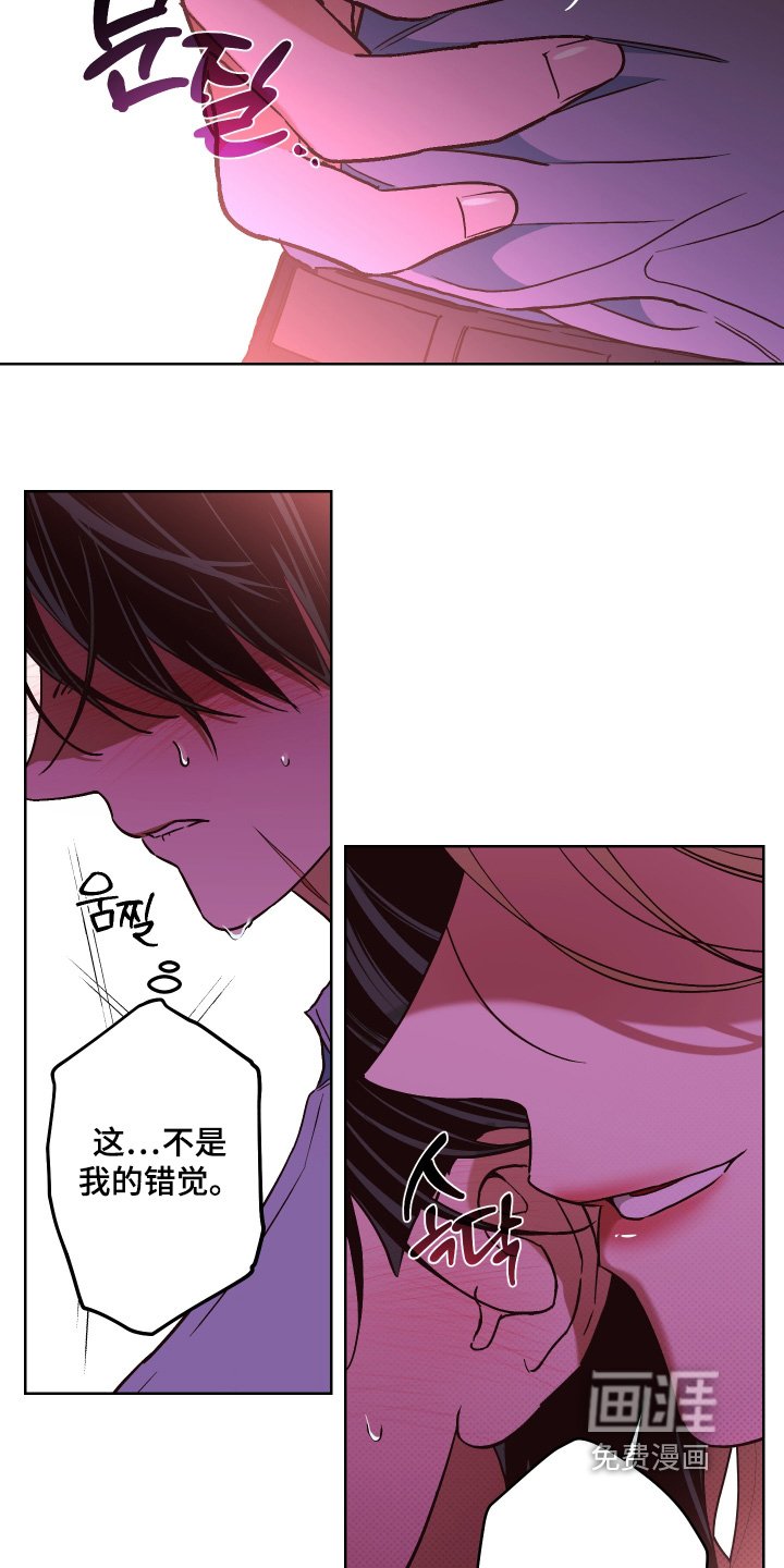 第21章：对我的感情