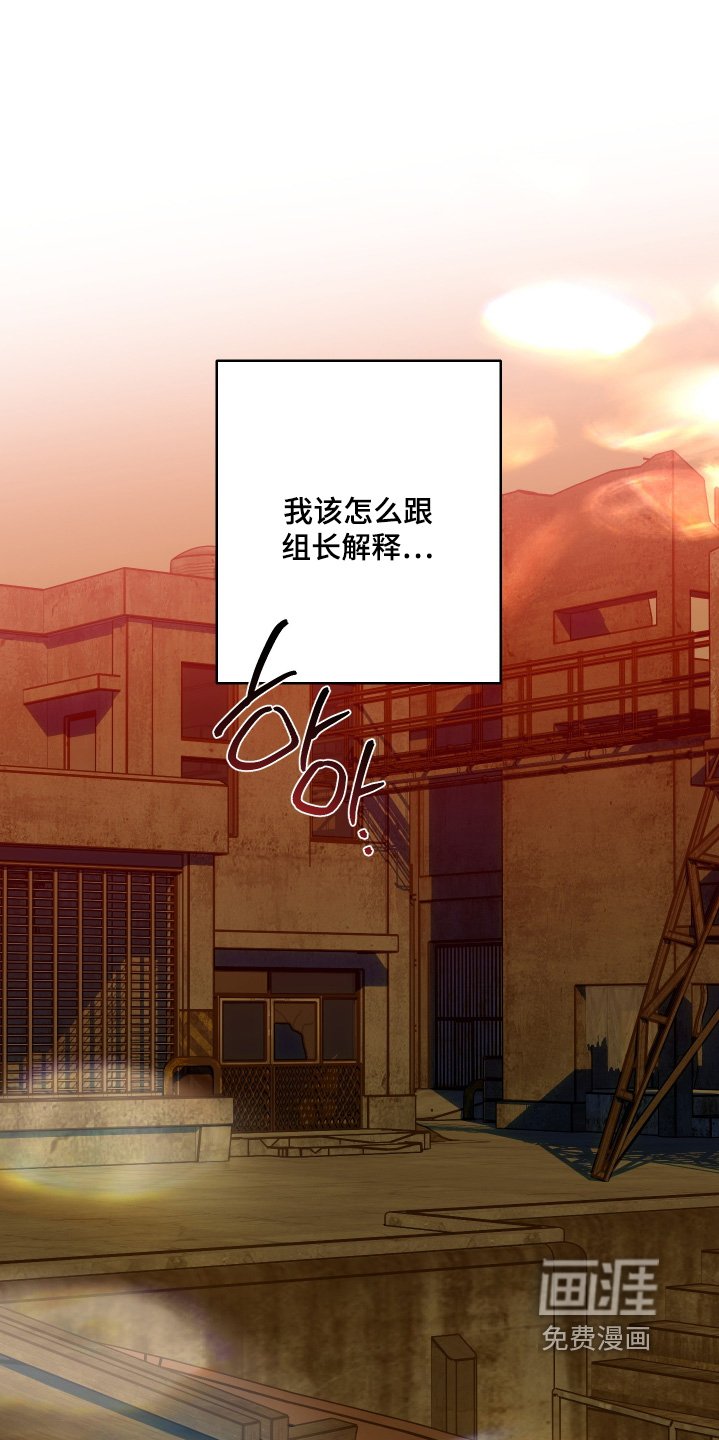 第29章：开始会议吧