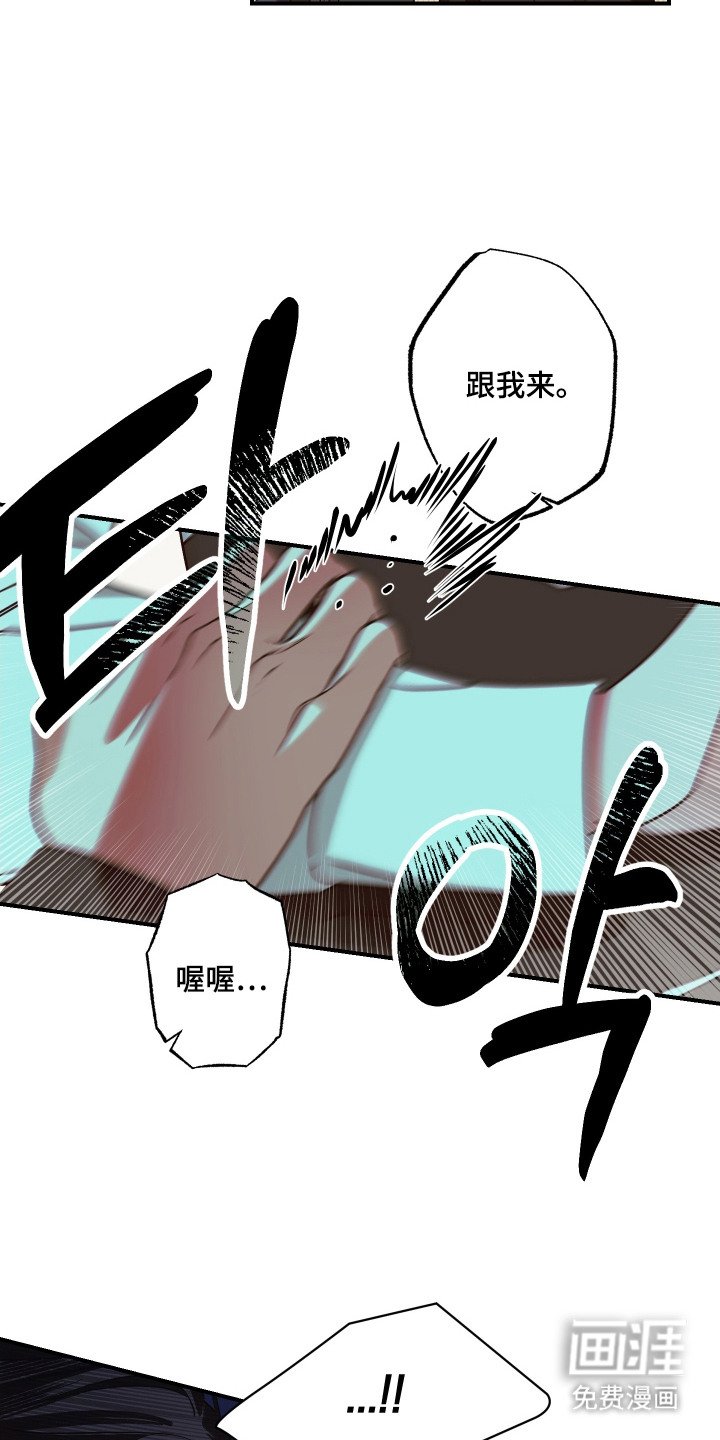 第9章：大头照