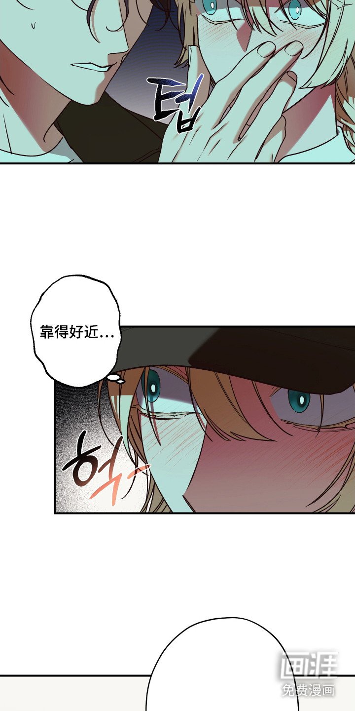 第9章：大头照