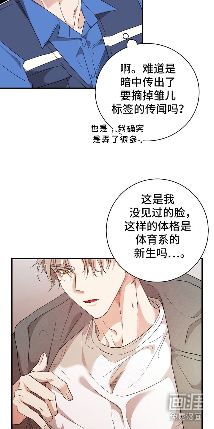 第3章：网开一面