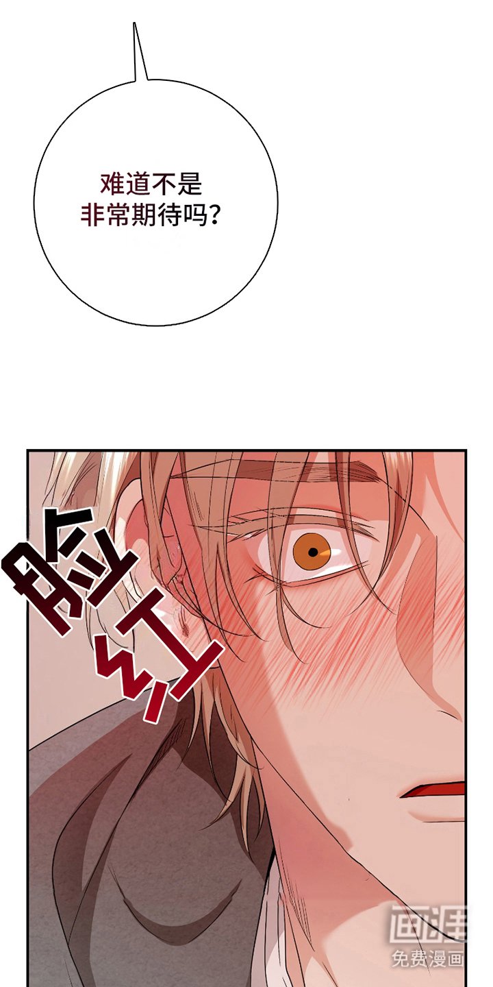 第3章：网开一面