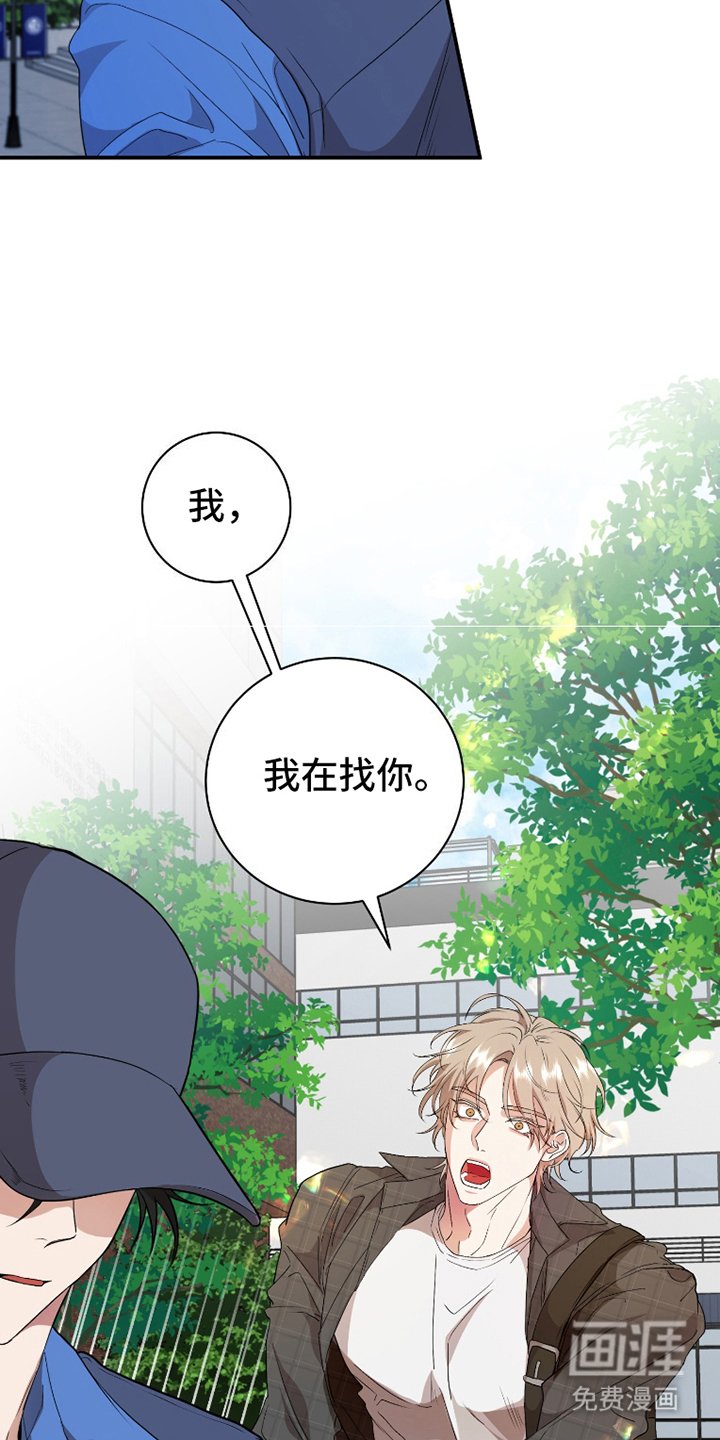 第4章：小熊饼干