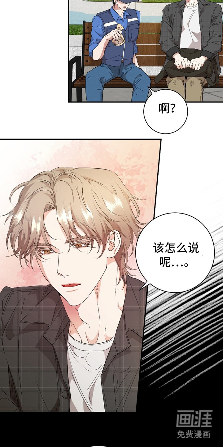 第4章：小熊饼干