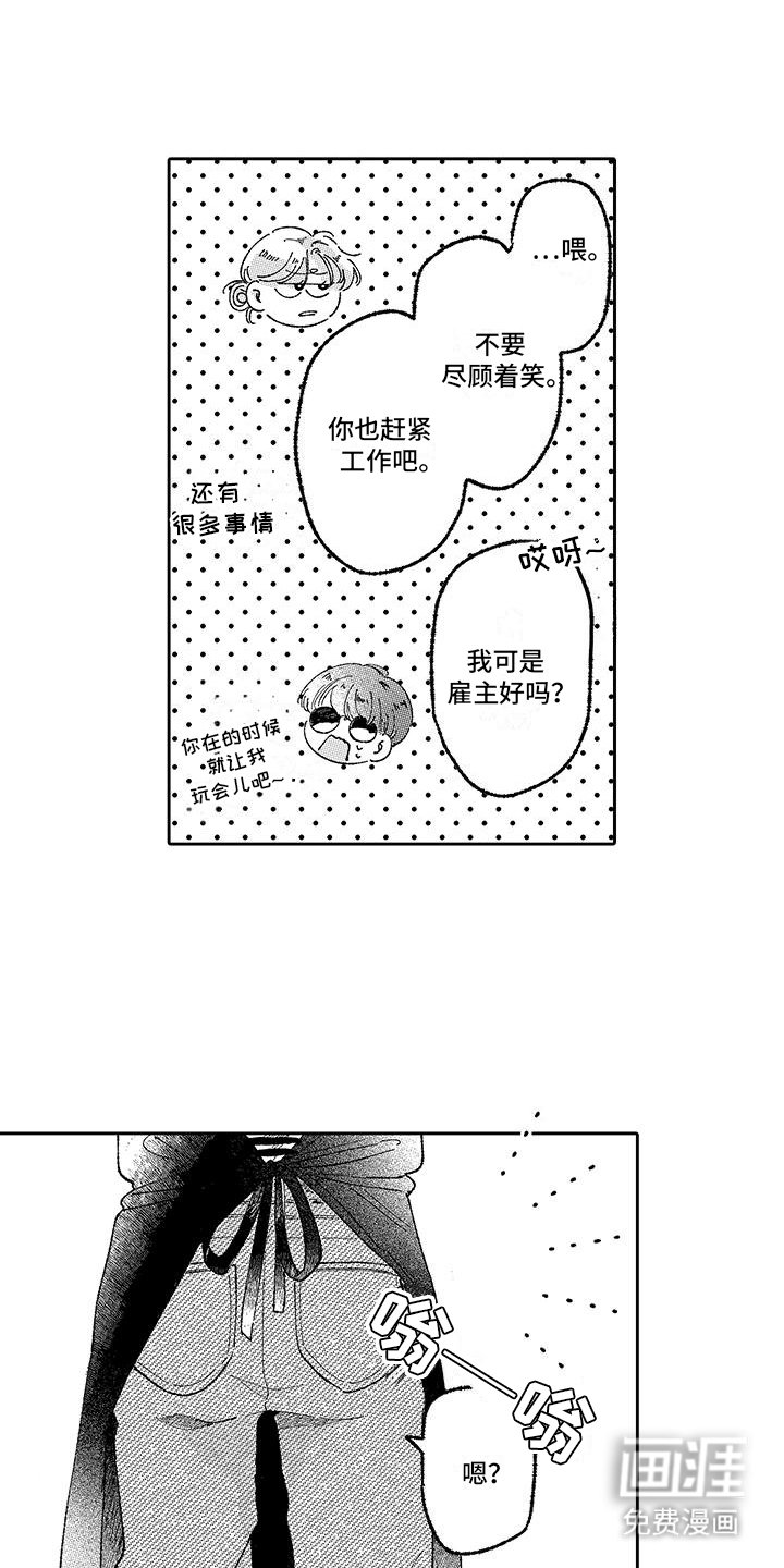 第25章：分离
