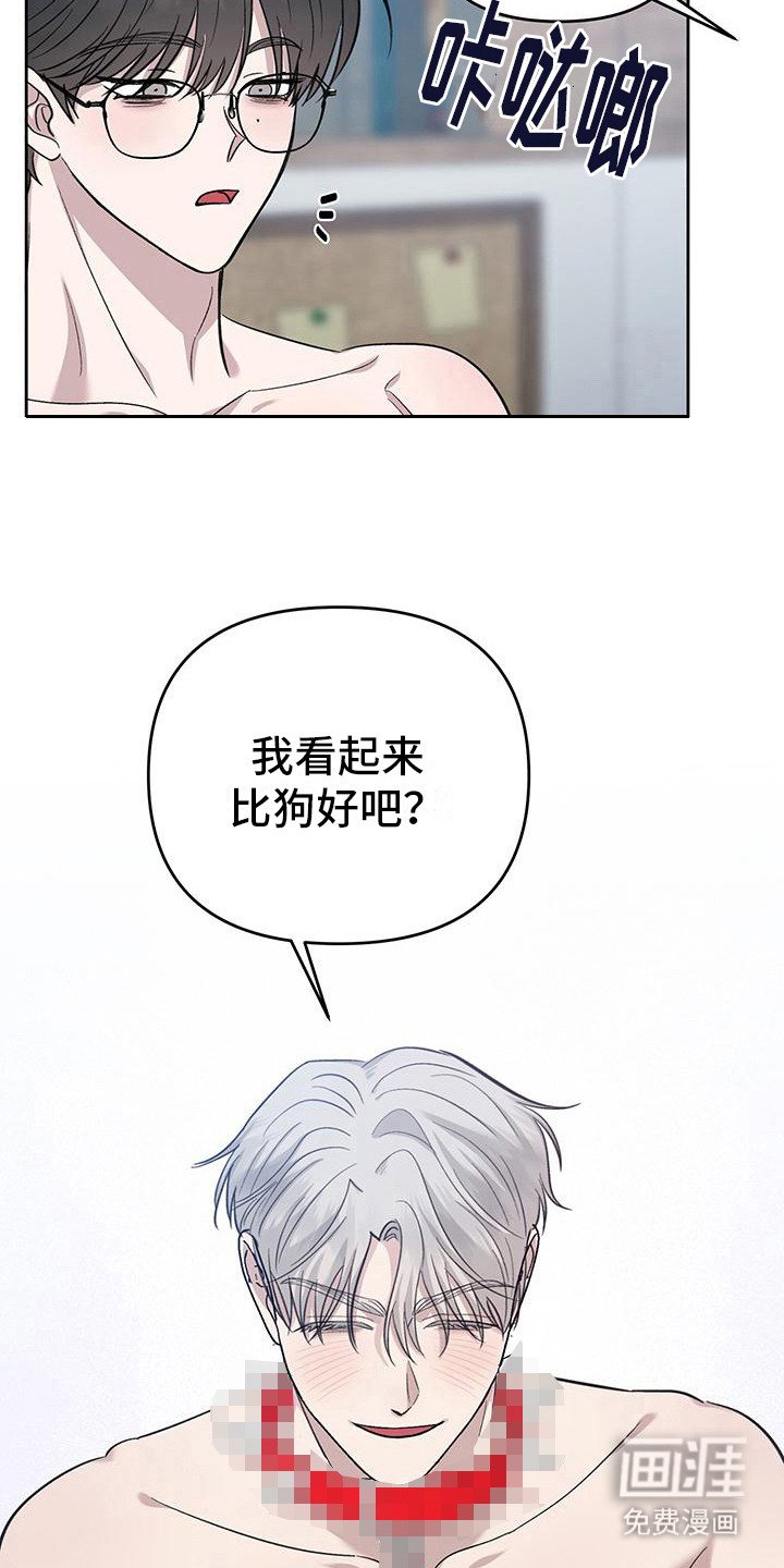 第12章：听话的狗（完结）