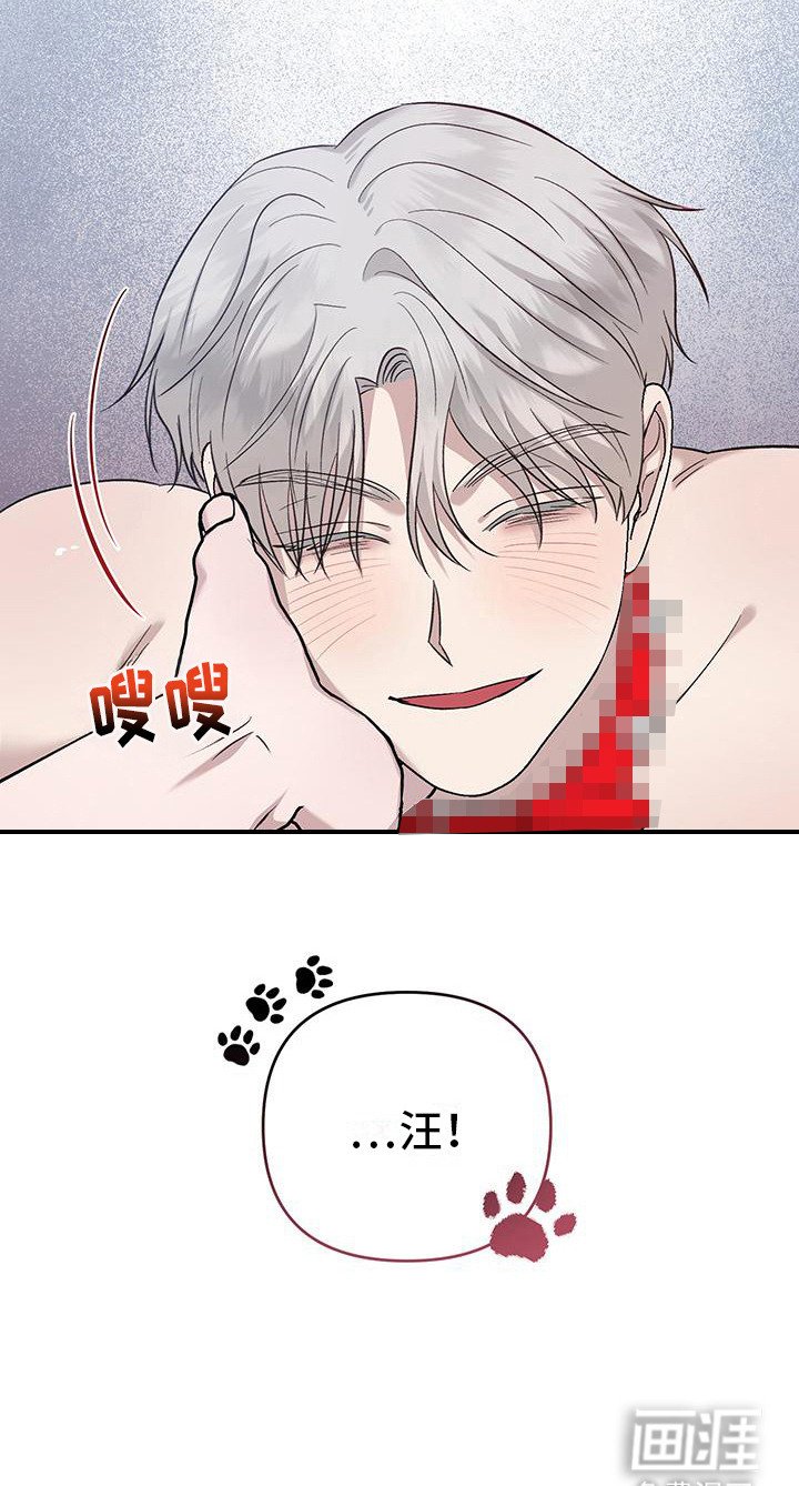 第12章：听话的狗（完结）