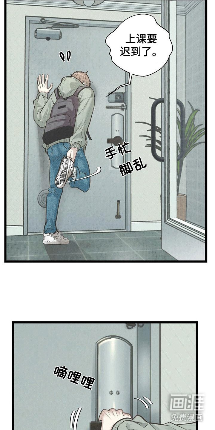 第1章：邻居哥哥