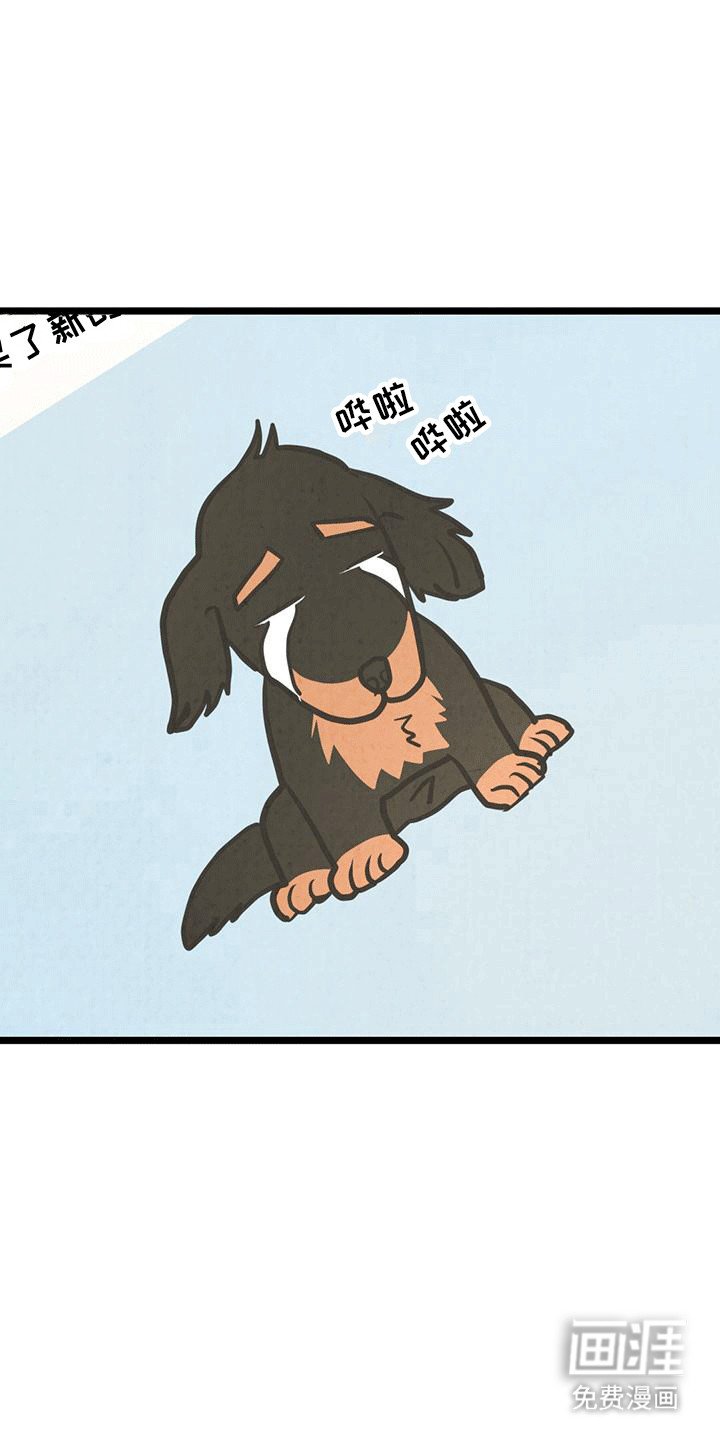 第15章：该找别人了