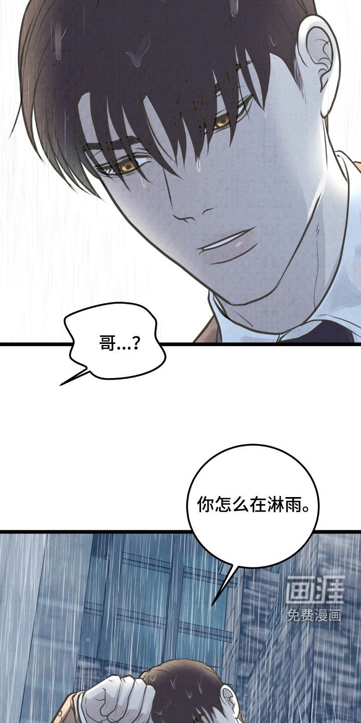 第40章：淋雨