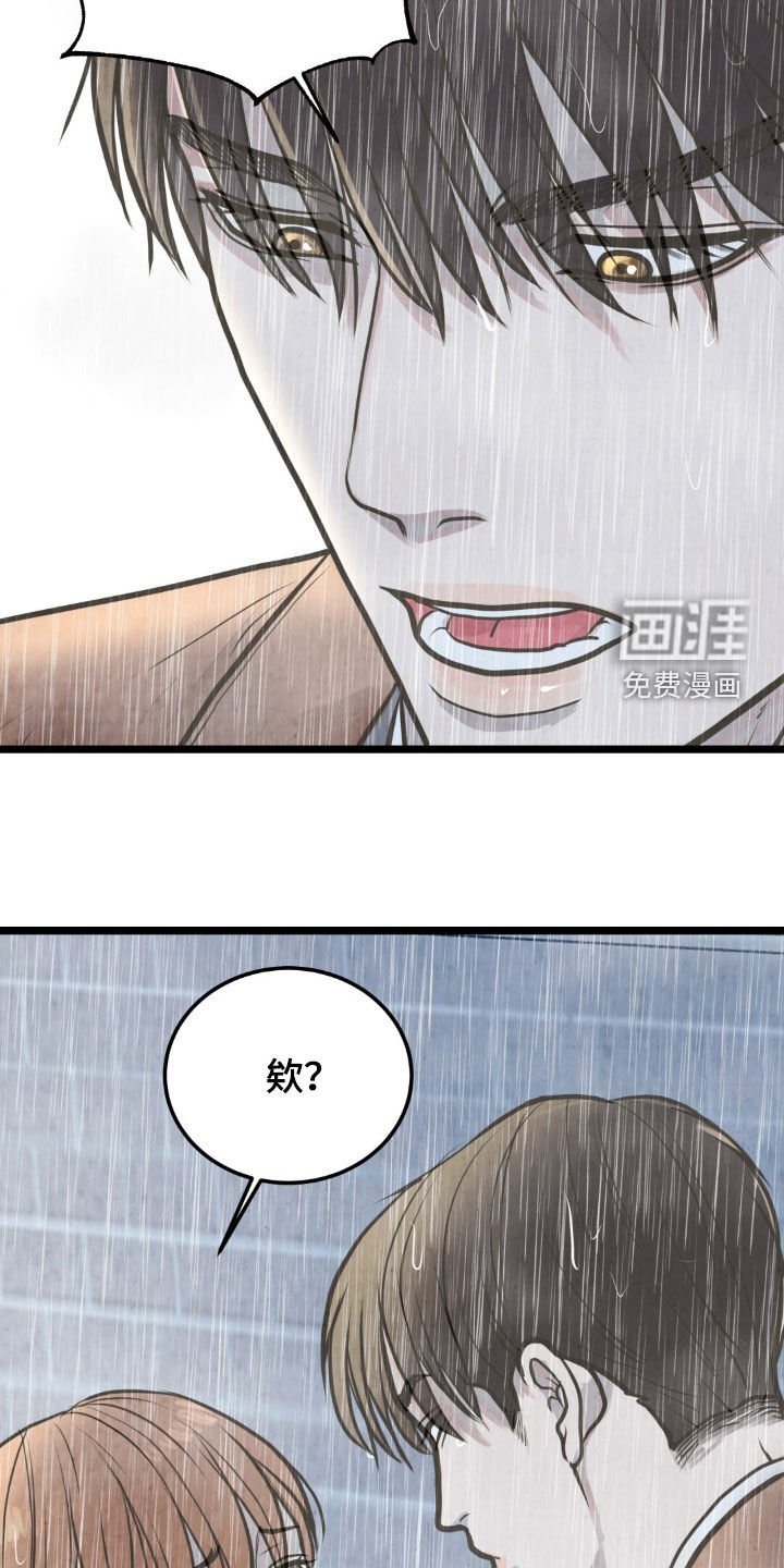 第41章：绊脚石