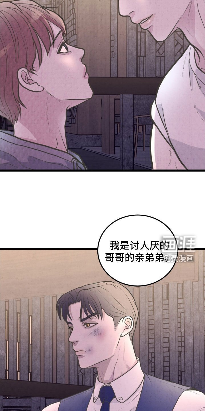 第44章：亲兄弟