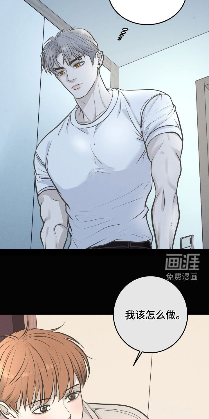 第51章：我也想看看