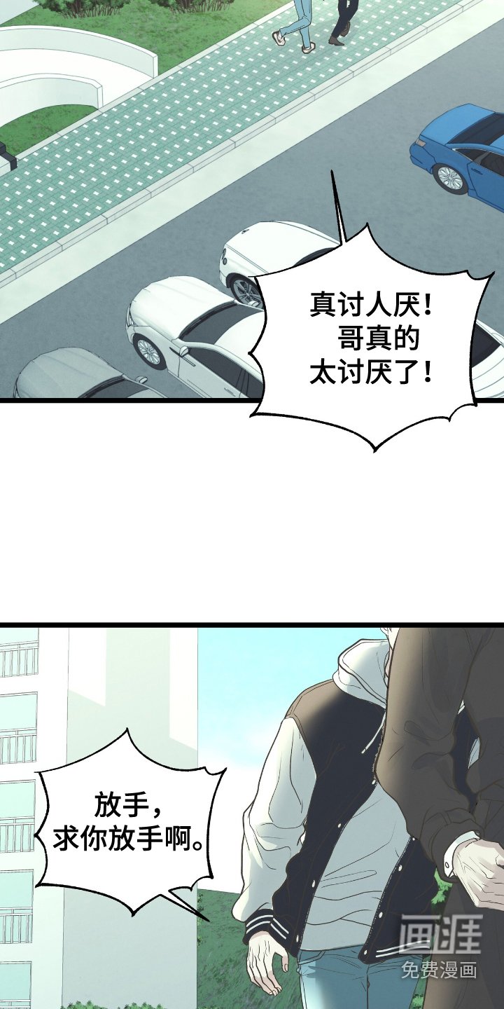 第62章：搞不懂