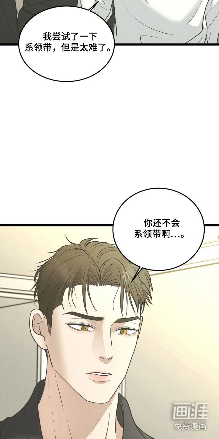 第85章：同居生活