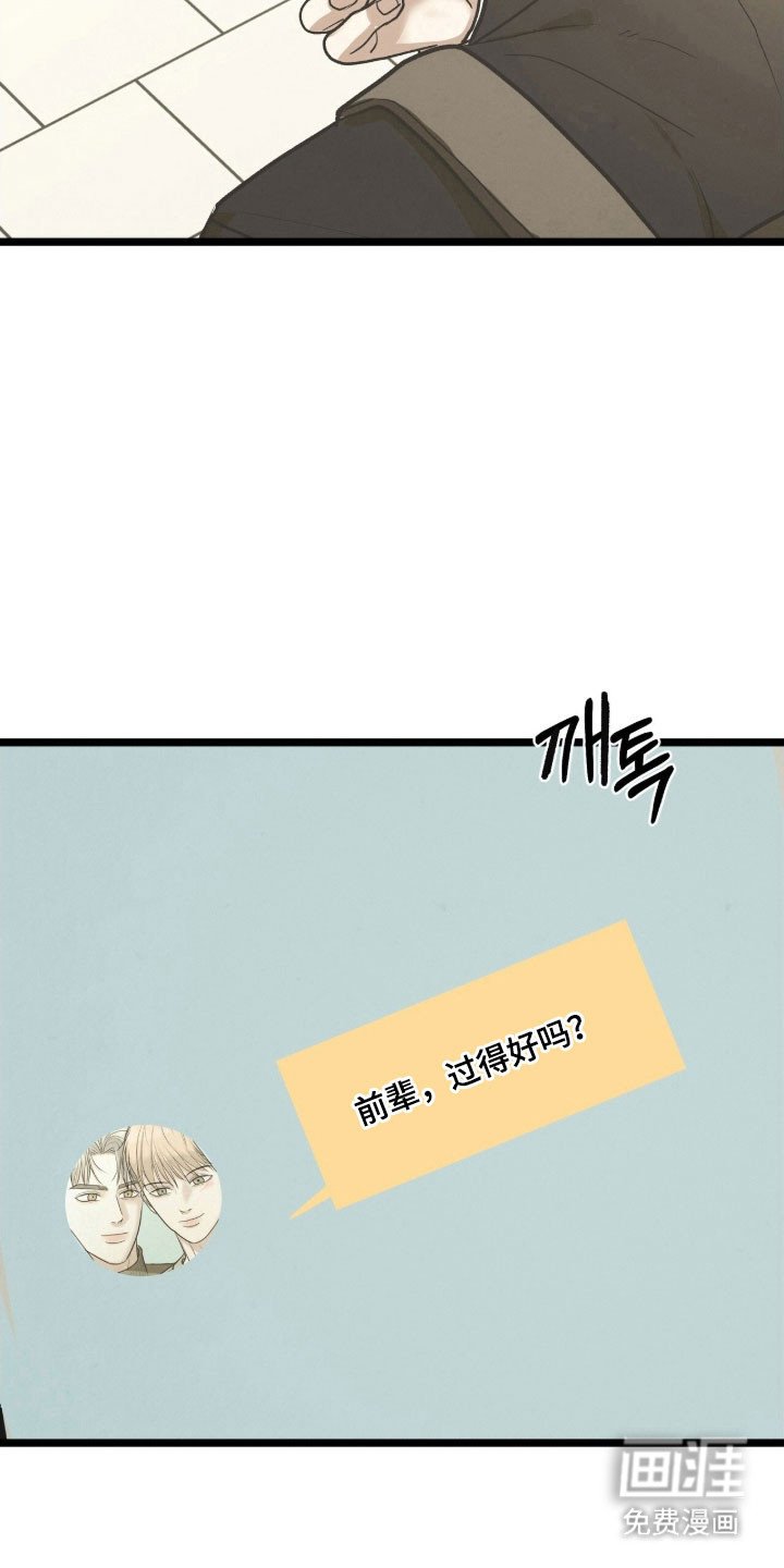 第87章：假装初见