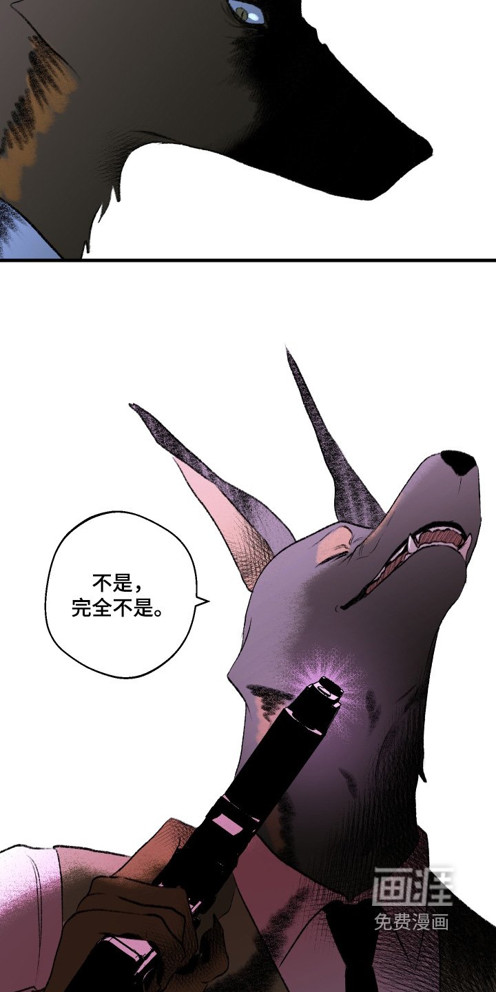 第100章：【第二季】证明