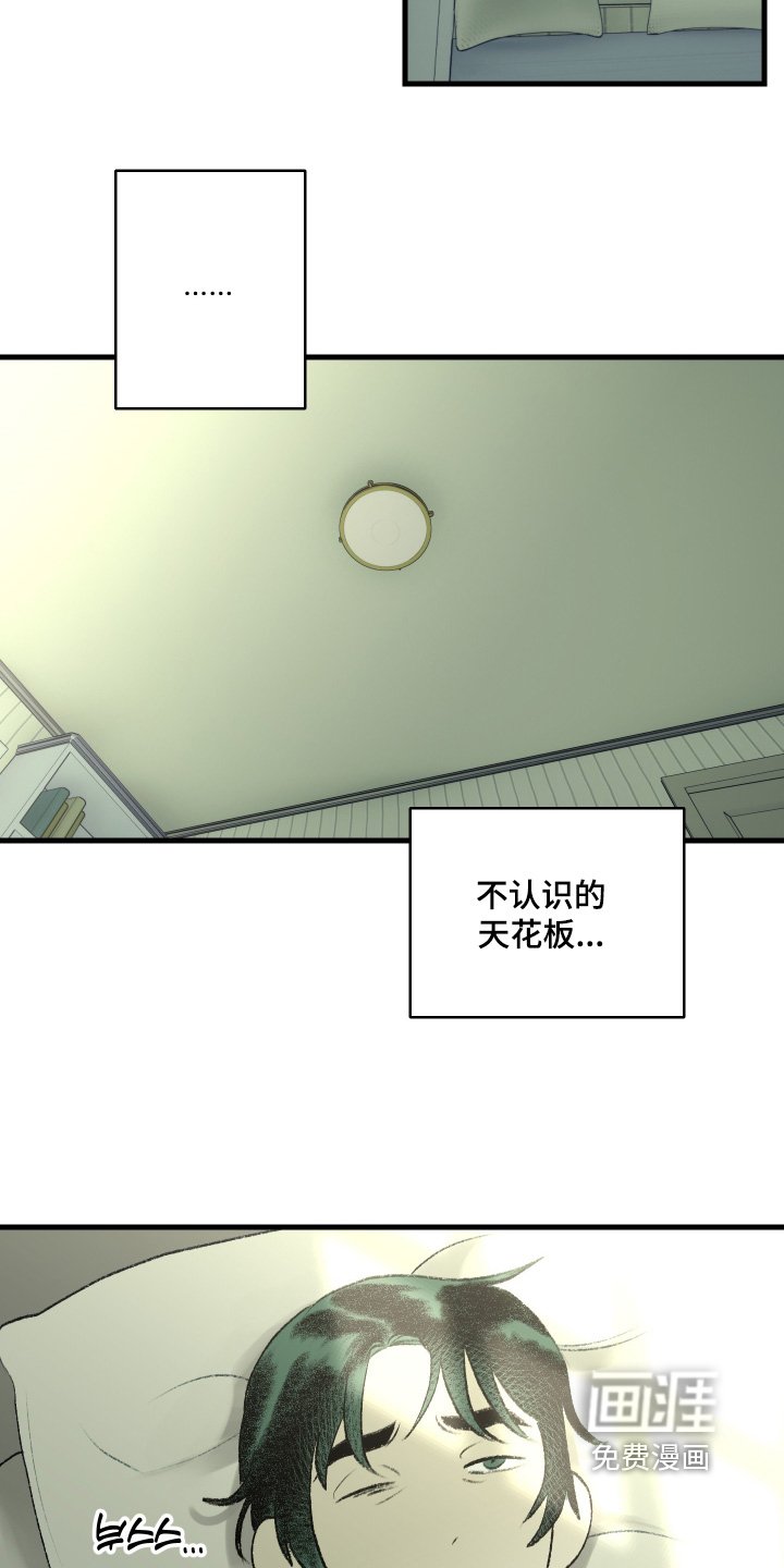 第111章：【第二季】一点也不丑
