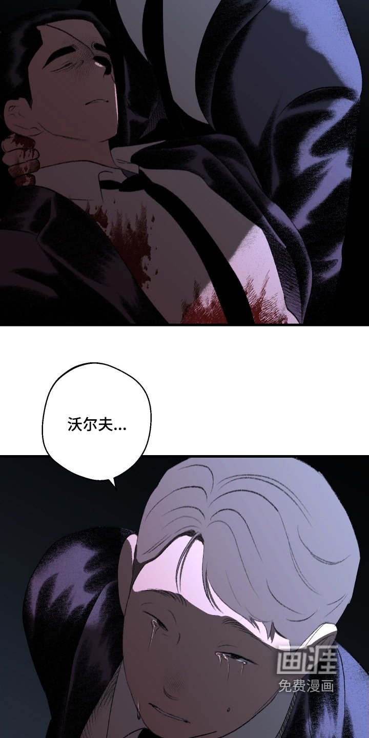 第135章：【第二季】肯定会输