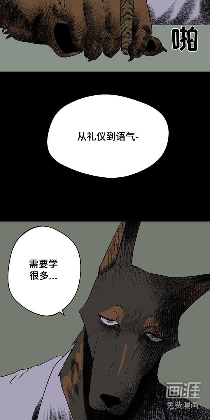 第23章：对练