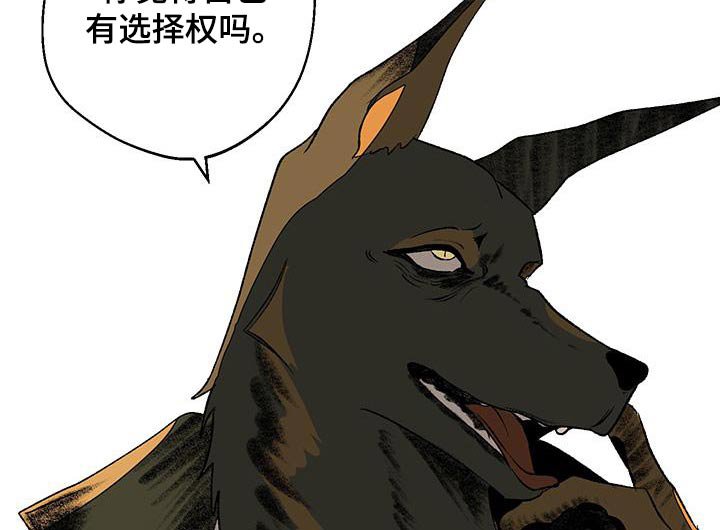 第29章：那个男人