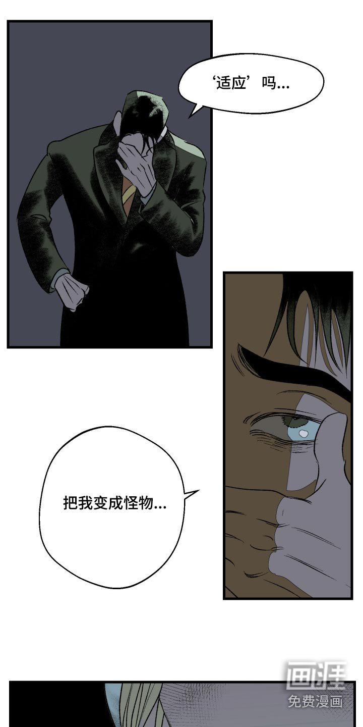 第37章：适应