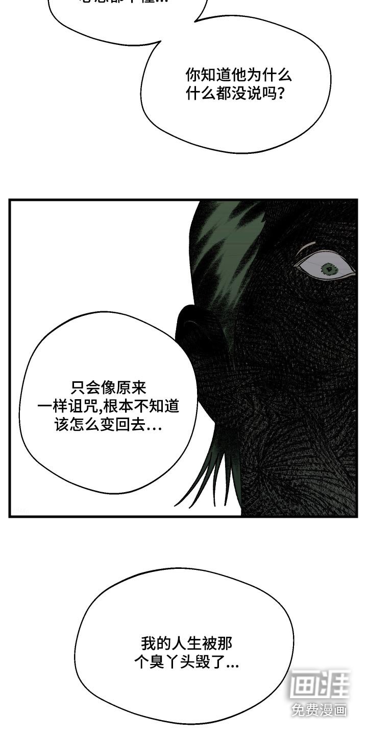第39章：解除诅咒的办法