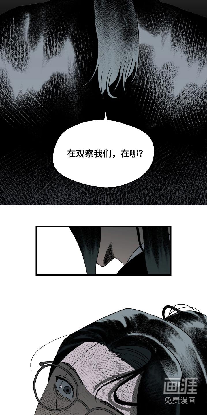 第45章：在观察我们