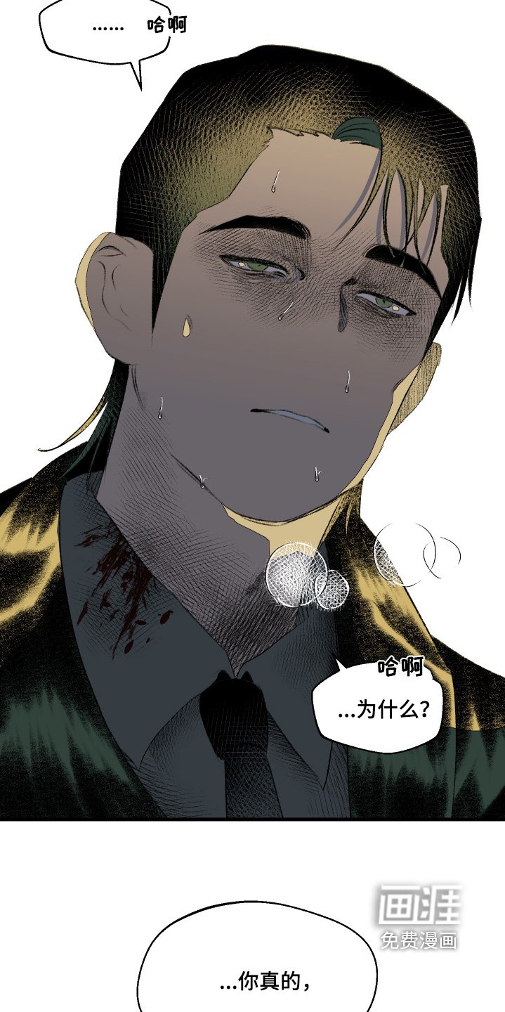 第60章：别哭了