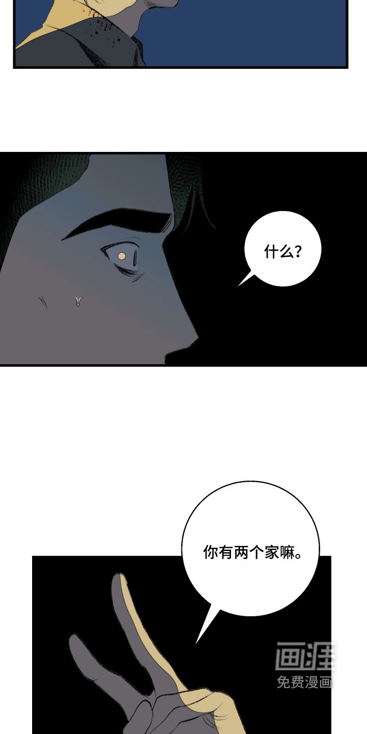 第63章：总算是明白