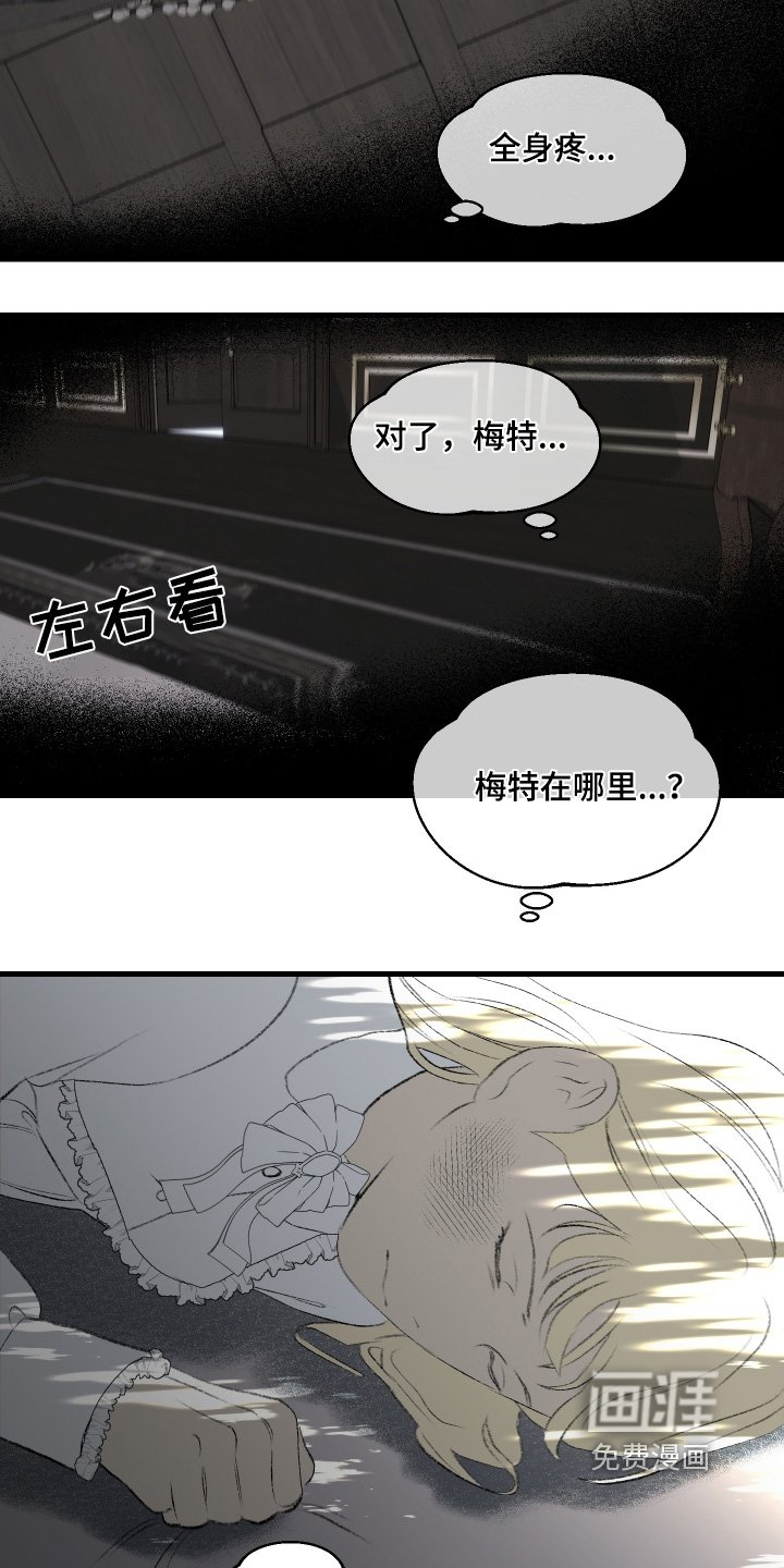第84章：愧疚【第一季完结】