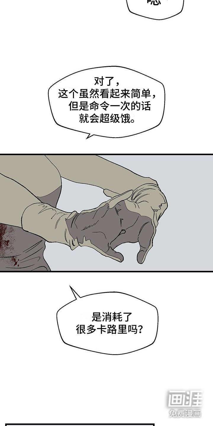 第9章：条件
