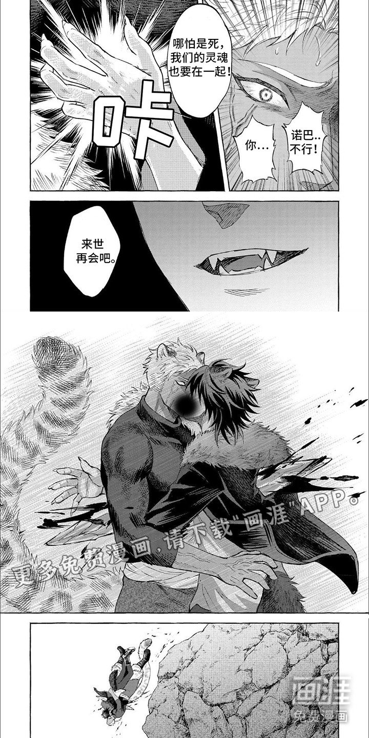第11章：前世今生
