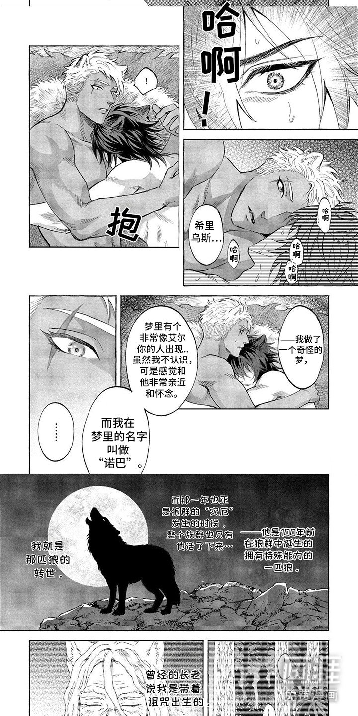 第11章：前世今生