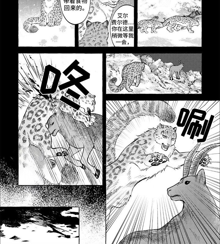 第11章：前世今生