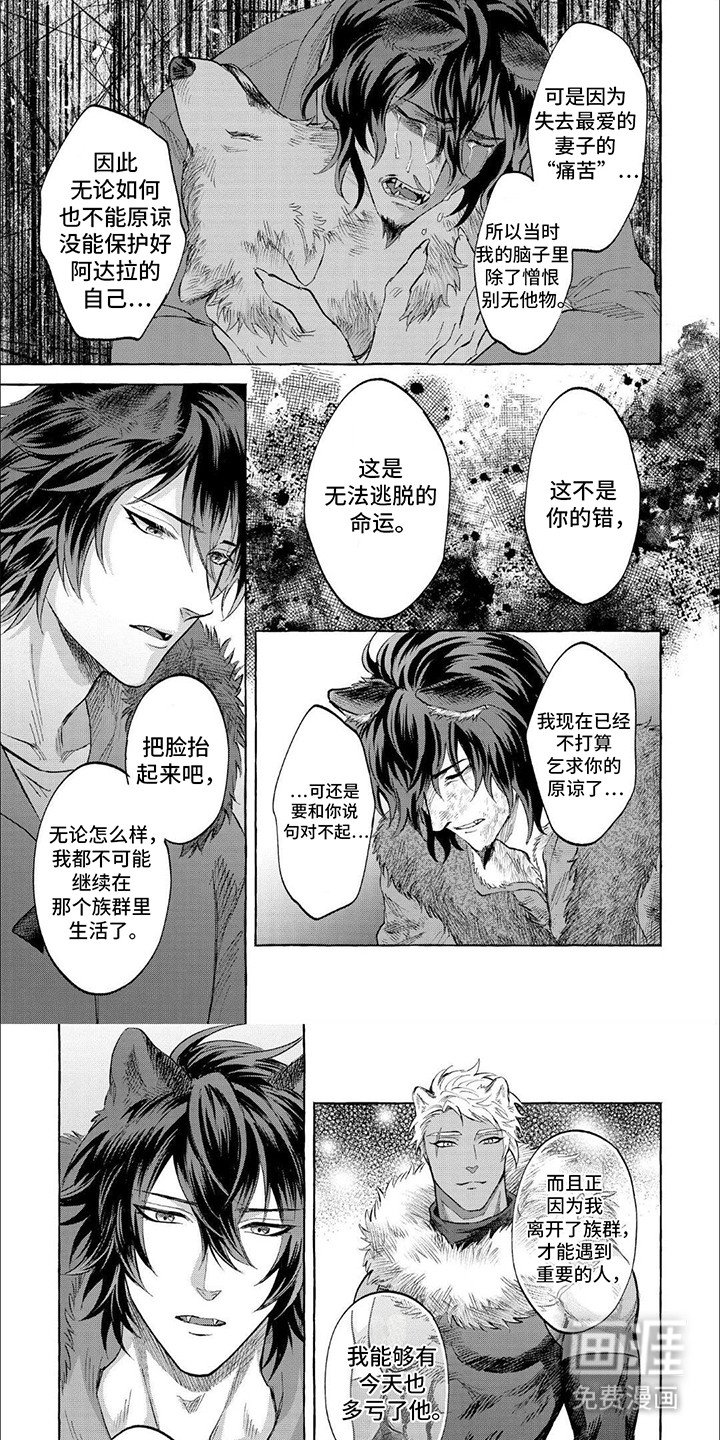 第13章：感染