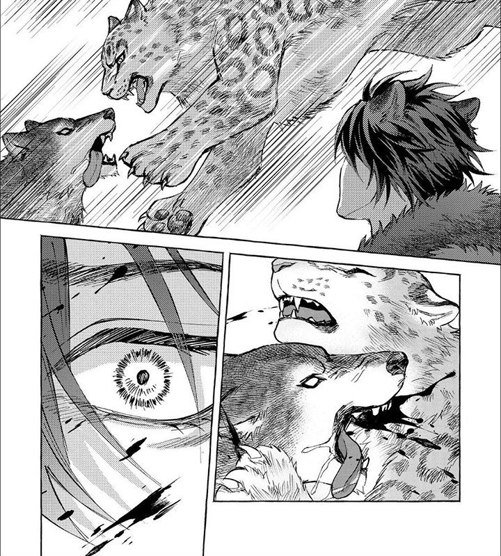 第13章：感染
