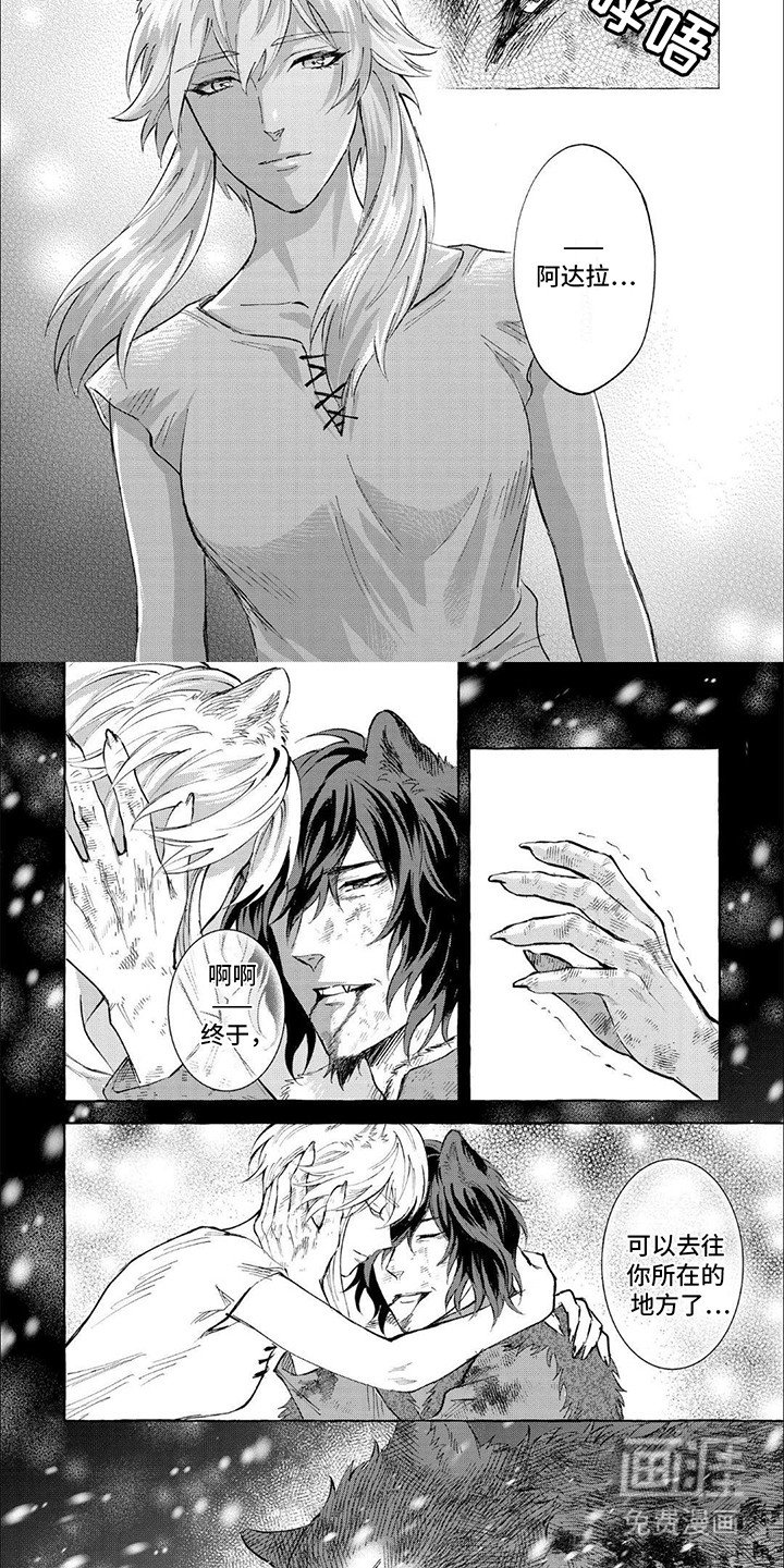 第13章：感染