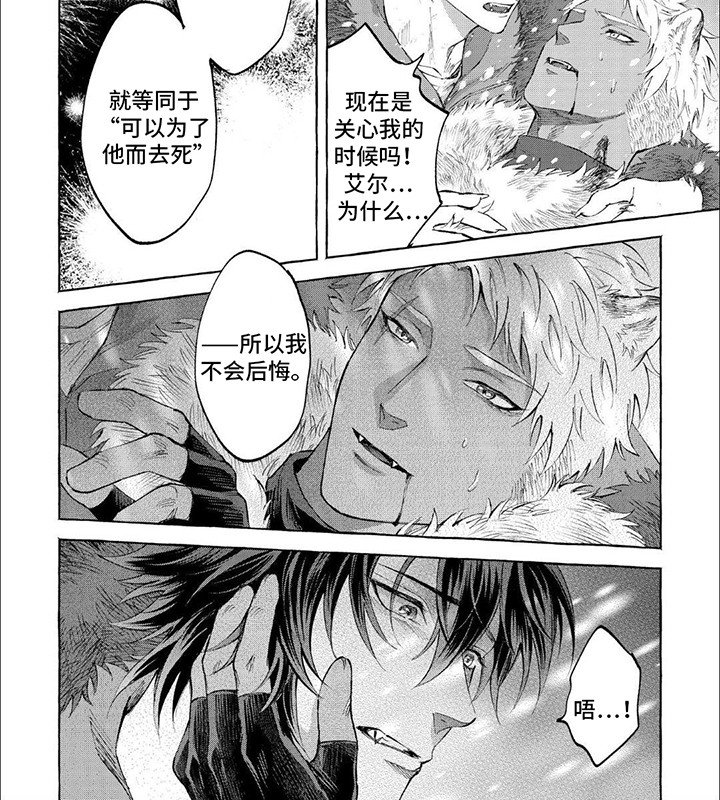第13章：感染