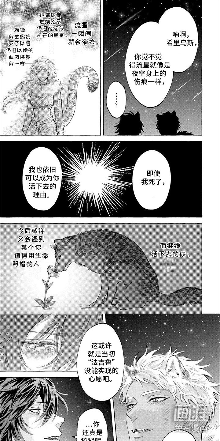 第16章：分离