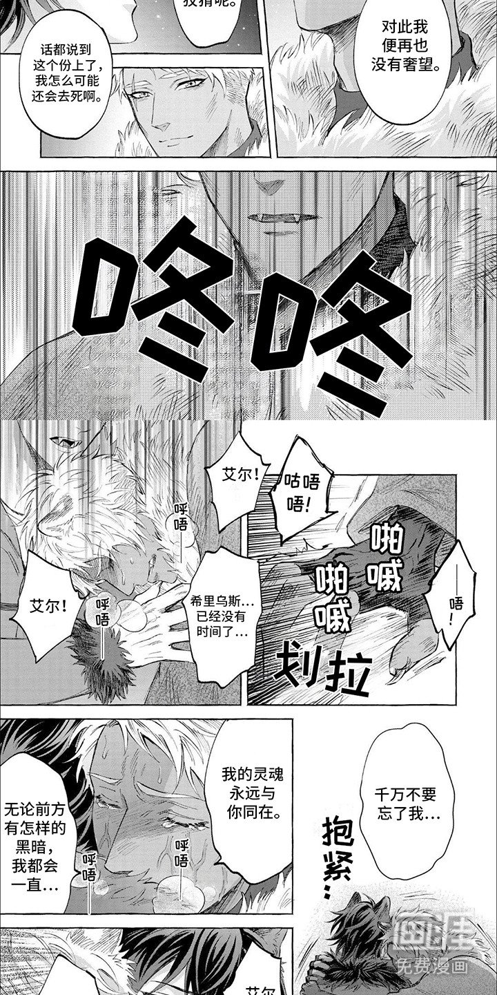 第16章：分离