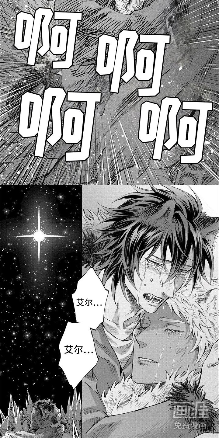 第16章：分离