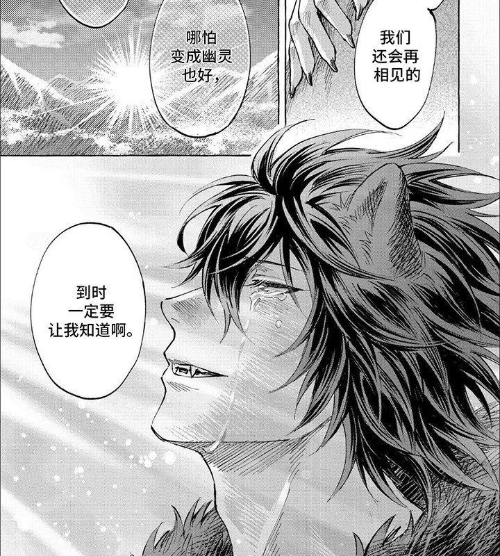 第16章：分离