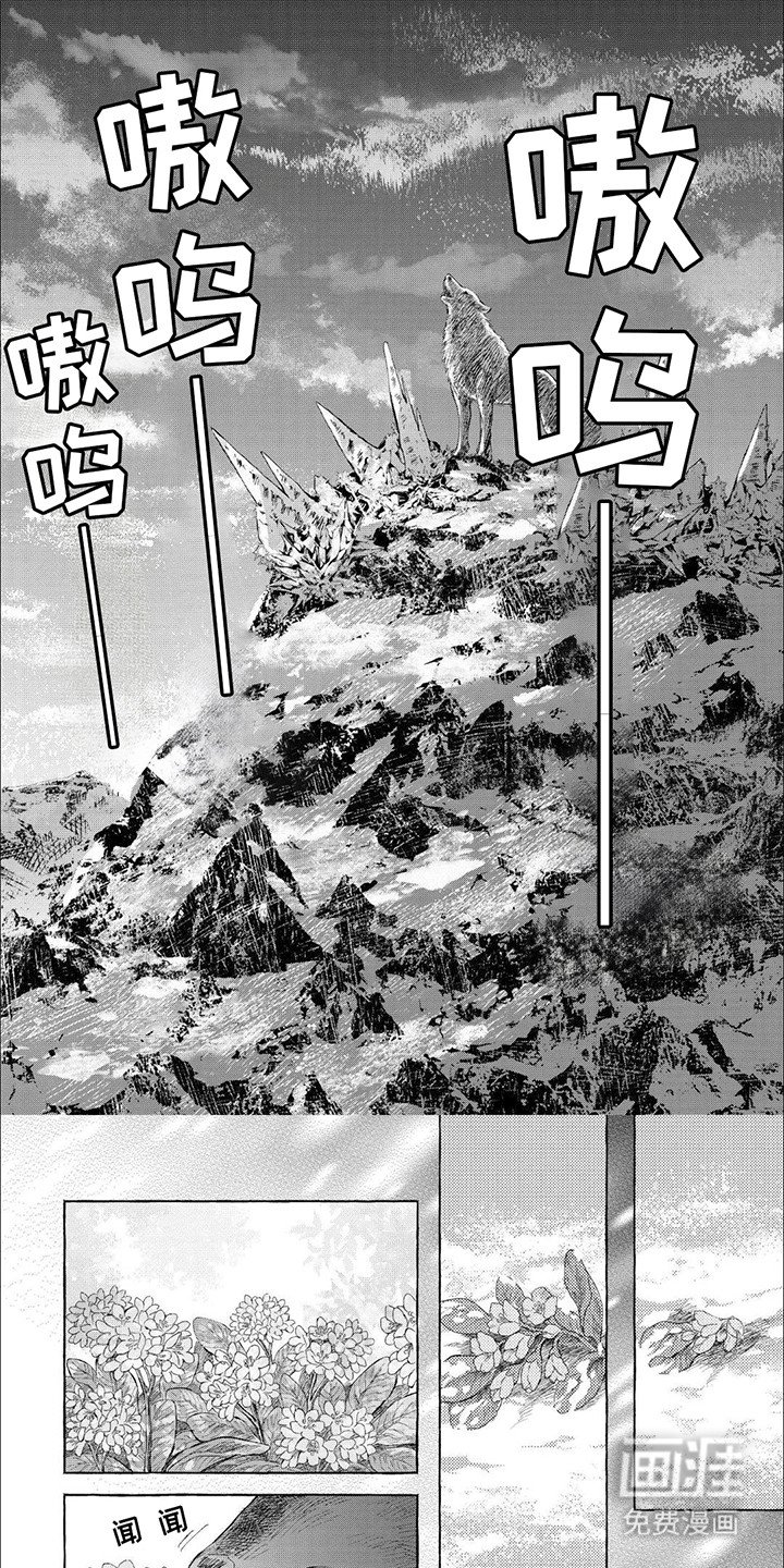 第17章：终究不是他